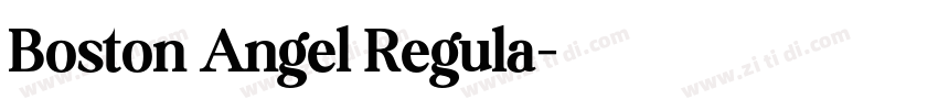 Boston Angel Regula字体转换